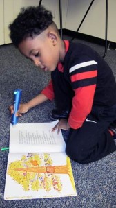 any_reader_pen_2