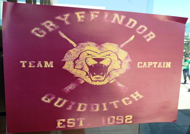 griffindor-quidditch