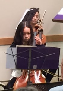 cellist