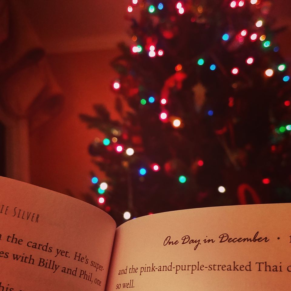 Photo of a book and a Christmas tree to advertise the friends of The Santa Clara City Library book sale at Northside library