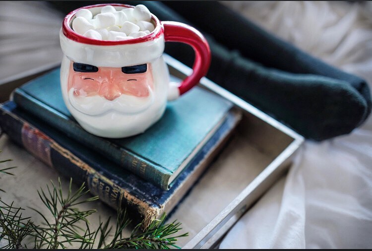 books and santa mug to advertise a friends of The Santa Clara City Library book sale at Northside Library