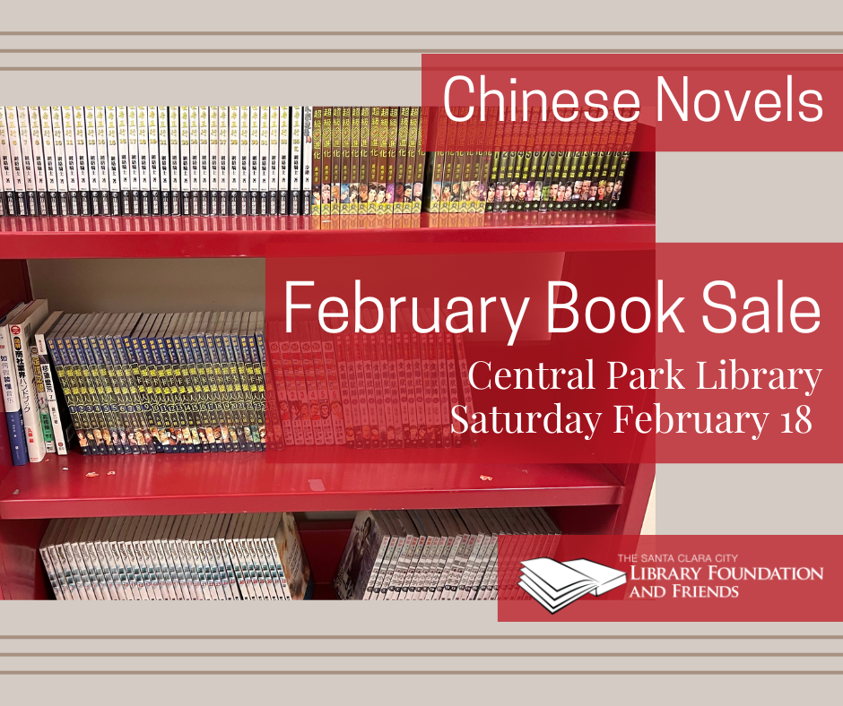 Chinese novels for sale at the book sale on Saturday February 18 at the Central Park library