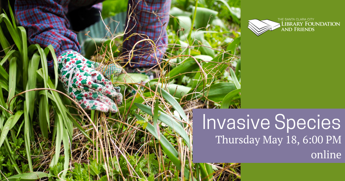 Invasive Species talk online, presented by the Santa Clara City Library as part of the State Parks Grant from the California State Library and co-administed by the Library and the Santa Clara City Library Foundation and Friends
